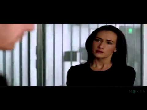Stalker 1.13 (Preview)