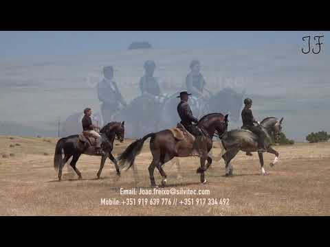 19 Coudelaria Freixo