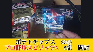 2025 カルビー プロ野球スピリッツＡ チップス 5袋　開封 - みづの廃信