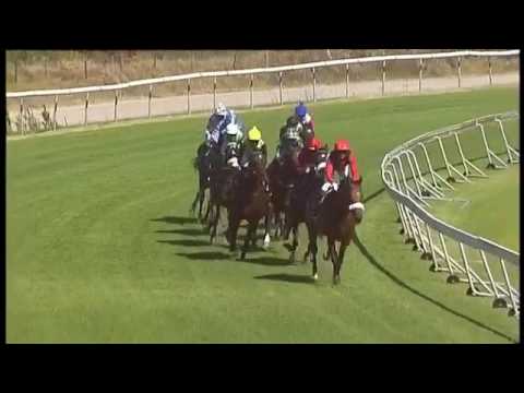 2017.01.28 Cape Derby (RSA) - Edict of Nantes