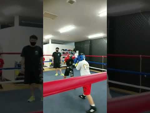 【Boxing】スパーリング　中学１年同士の戦い　息子(青)#shorts