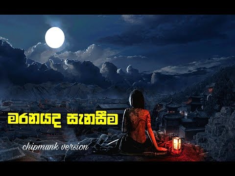 Maranayada Senasima (මරණයද සැනසීම) -Shehan Udesh New Song 2019 - New Sinhala Songs 2019