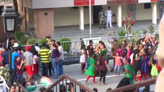 preview picture of video 'Wagah Border (India-Pakistan) Retreat Ceremony Oct. 27, 2014 Part - 3'