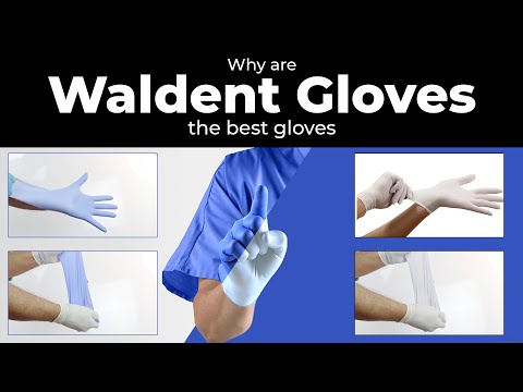 Why are Waldent Gloves The Best Gloves