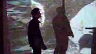 STAR - Rebels Get Lonely (Devastator)