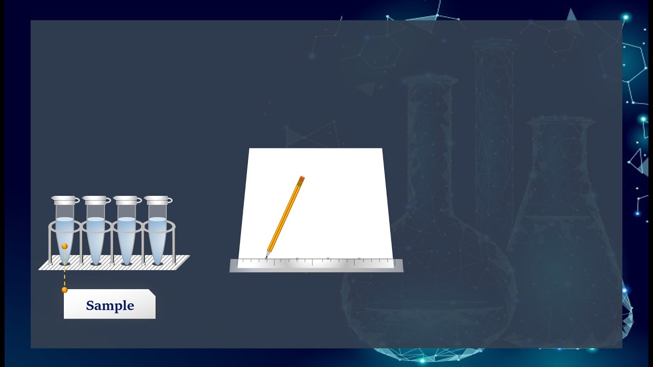 Thin Layer Chromatography (TLC)-Animation- Chromatographie sur Couche Mince (CCM)