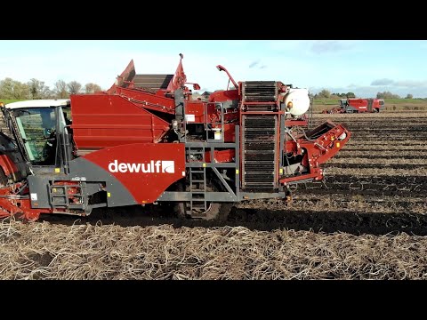 Dewulf Ra3060 & Kwatro Xtreme Potato Harvesters