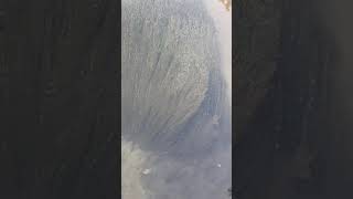 Download lagu Rabim ne kadar muhteşem yaratmış mp3