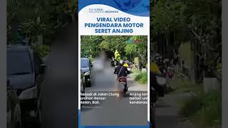 Viral Video Pengendara Motor di Bali Seret Anjing hingga Kaki Berdarah, Kini Diselidiki Polisi