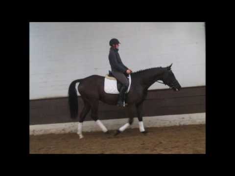 BLACKJACK 7j. v. Black Jack - For Pleasure VB 18.000,- Euro