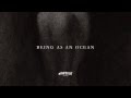 "The Zealot's Blindfold" - Being As An Ocean ...