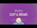 To Sleep, Perchance to Dream: Crash Course Psychology #9