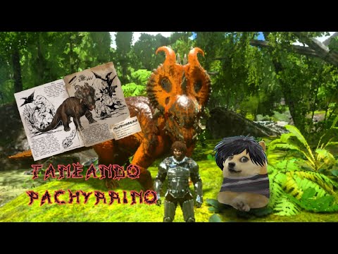 cómo tamear pachyrrino en ARK  MOBIL Fácil #ark #pachyrhinosaurus #tameark