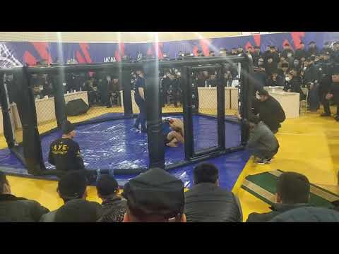 ММА Баходир Тиллабоев Андижон янги жанги хушидан кетди