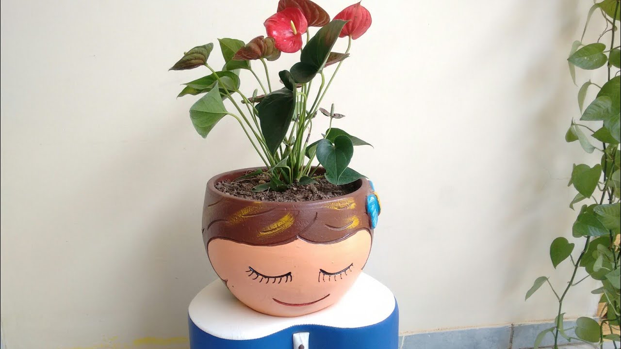 Antúrio - como plantar e cuidar.