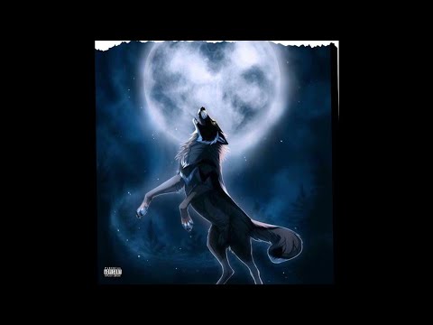 Ray Bands x Hardini x Dolla Davis - Howl At The Moon (Prod. K Share)