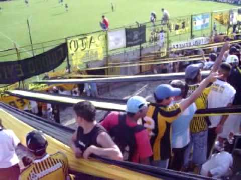 almirante brown 8