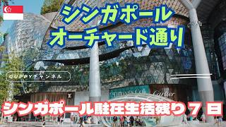 【シンガポール生活あと7日】思い出のオーチャードを歩く