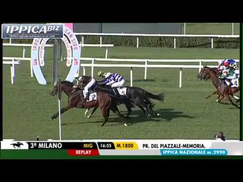 Dirk - Premio Del Piazzale, Gr.3