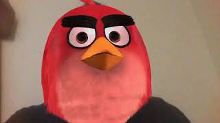 Another Bird Young Buck, Angry Bird version
