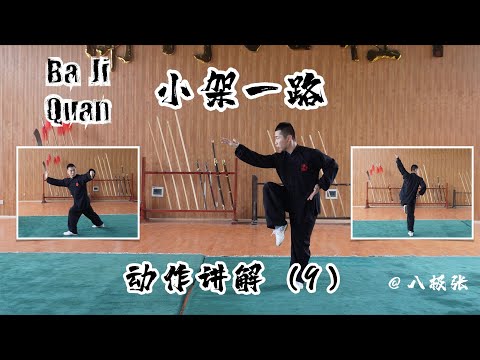 Baji Quan Beginner Breakdown9【Chinese Martial Arts/Kung Fu】Tutorial Session3 Form1: 八极拳教学 小架一路 动作讲解9