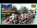 Djurs Sommerland Park Presentation Summer 2025 Lots Of Information Lots Of On Rides Lots