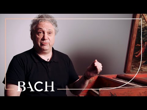 Sato and Egarr on Bach 'Brandenburg' Concerto no. 5 BWV 1050 | Netherlands Bach Society