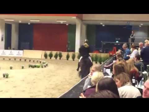 Ódinn vom Habichtswald (Óskadís v. Habichtswald/ Fannar f. Kvistum)