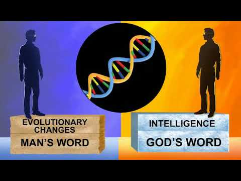 Wonder Of DNA: God's Amazing Design - Georgia Purdom