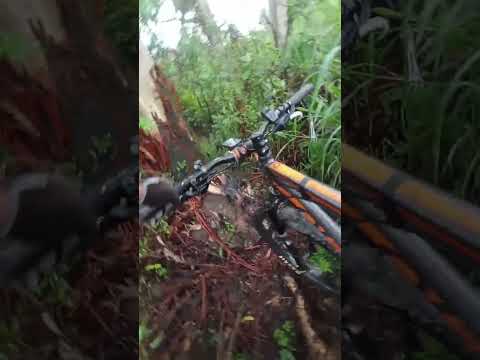 260119 tafi viejo con Ale la parte que bajamos desde cerca de la hostería