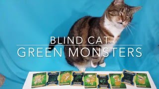 POCKET RIVALS Strategy Card Game Demo (as explained by cats)