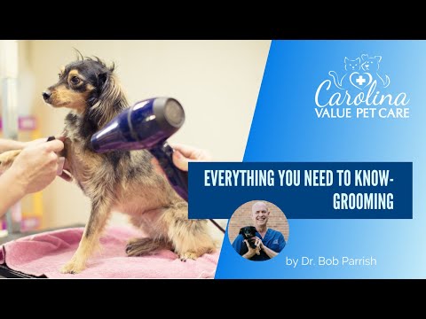 Everything you need to know about grooming