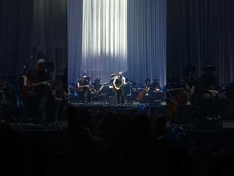 No hay dolor - ntvg x filarmonica de medellin