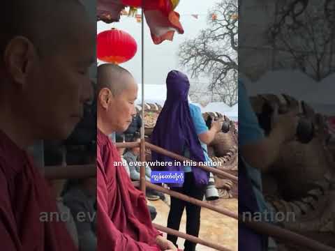 🕊️Walk for peace ☮️🪷 Sacred Words of Truth 🙏🙏🙏