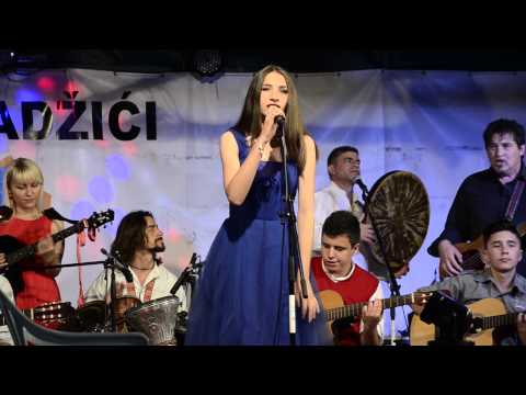 Hadžićko ljeto 2014 - AkaDemija Pink Panter - 1. august - Live