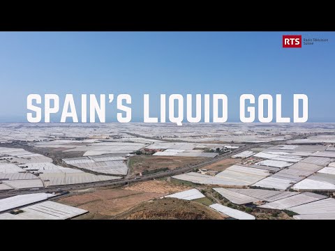 Spain's Liquid Gold