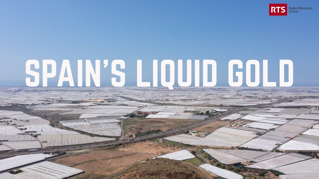Spain's Liquid Gold