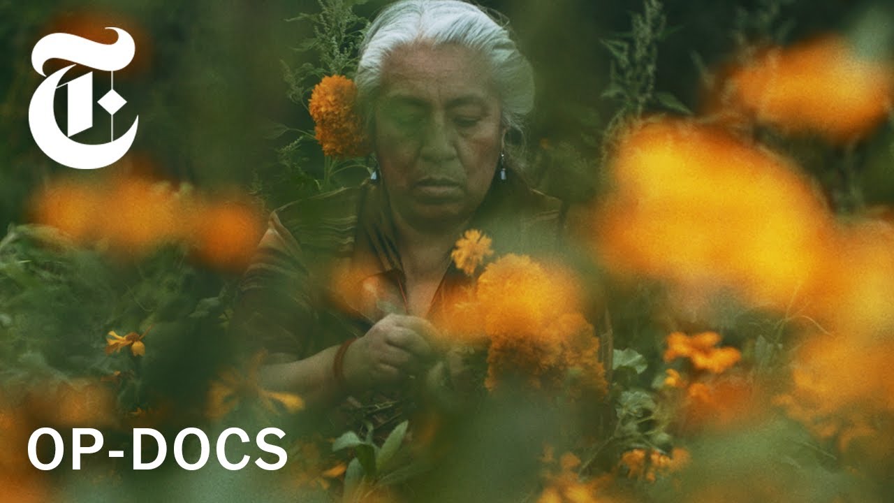 For Day of the Dead, I Followed This Flower's Journey | Op-Docs