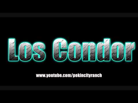 Los Condor- Fuiste Mi Primer Amor (Original)