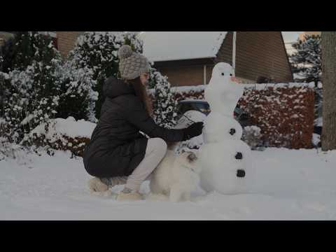 Comforting Winter Morning Diary🌿  Coffee & Making Olaf from Frozen in Real Life #No AI