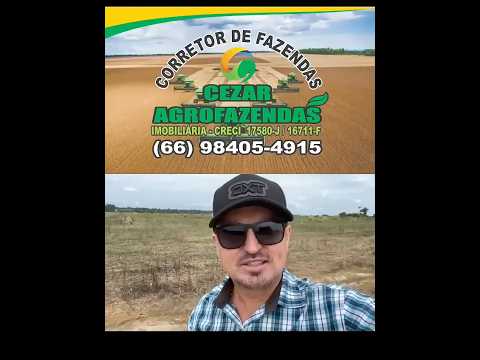 Fazenda a Venda matogrosso #matogrosso #agricultura #fazenda #agro