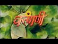 Kalyani Serial Title Song By Kavita Krishnamurthy DD National The Nostalgia