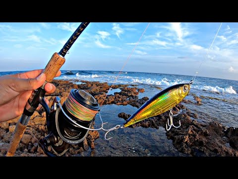 Fishing the Big Ocean with the 3D Twitch Bait - Seroe Colorado ||Ep118
