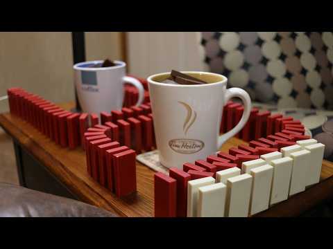 12,000 Dominoes around the House