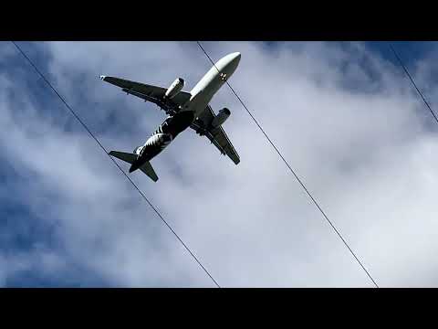 Here comes the big one / Lá vem o grandão