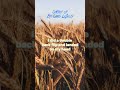 Cowboy up By: Chris LeDoux