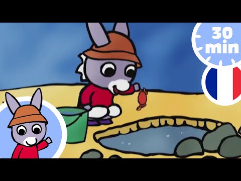 🌴 Trotro profite de la plage ! 🌴 - Dessin Animé pour Bébé
