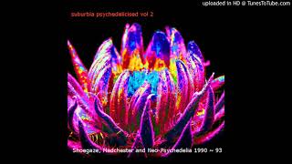 Catherine Wheel - Balloon