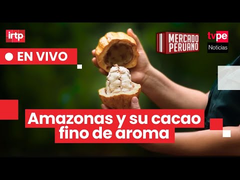 🌱🍫Amazonas, el origen del mejor cacao del mundo | "Mercado peruano" EN VIVO