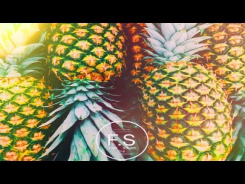 Show Me What You Got-Marco Tolo & Alex Stergiou